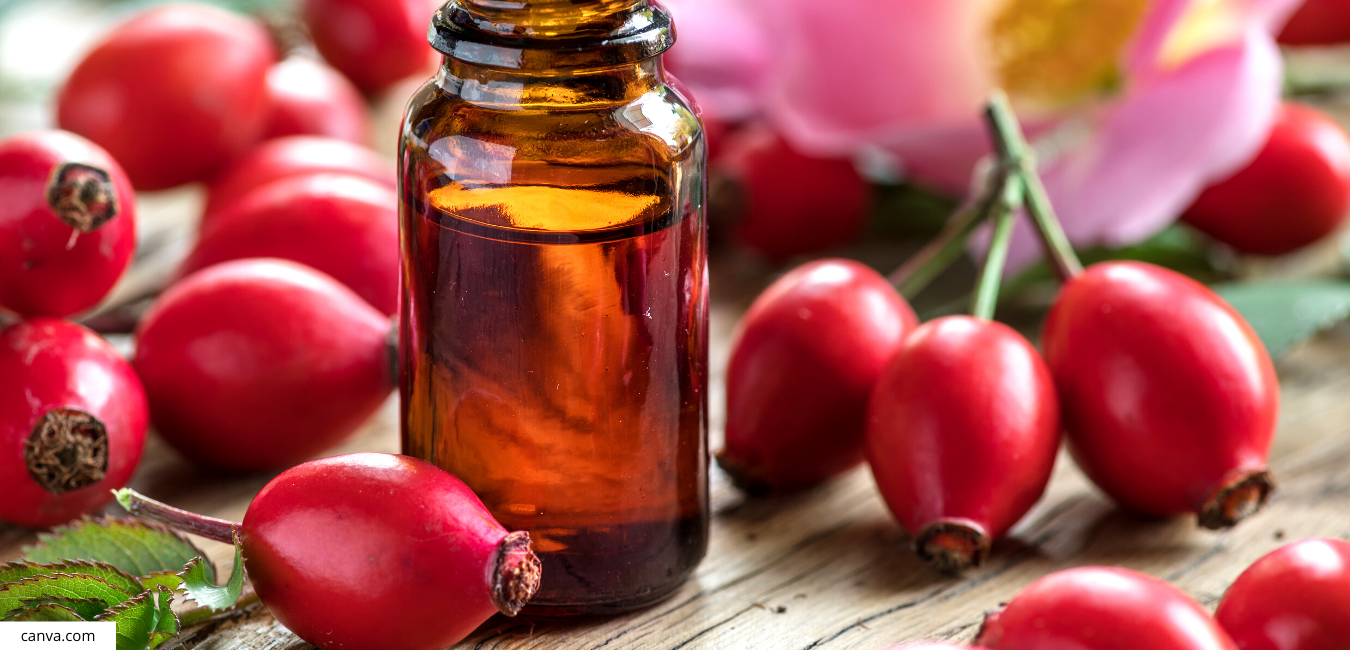 Glow Up Your Skin With All The Skin Benefits Of Rosehip Oil Beforeandaftercosmetics Com