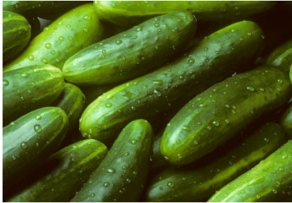 cucumber