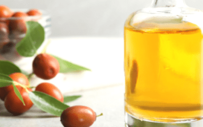 EVERYTHING YOU NEED TO KNOW ABOUT JOJOBA OIL AND WHY YOU SHOULD START INCORPORATING IT IN YOUR BEAUTY ROUTINE NOW!
