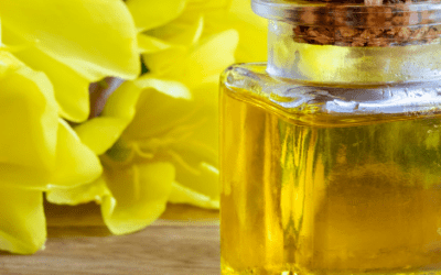 5 BEAUTY AND HEALTH BENEFITS OF EVENING PRIMROSE OIL YOU ALL SHOULD CHECK OUT!