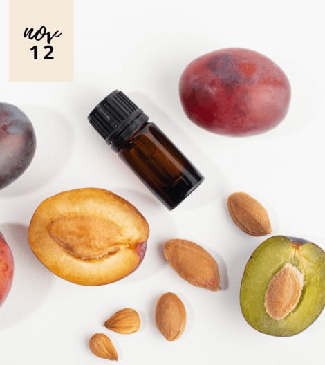 THE MASSIVE SKIN BENEFITS OF PLUM KERNEL OIL YOU ALL SHOULD CHECK OUT!