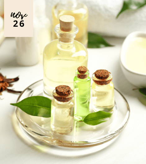 BEAUTY CONCERNS FROM HEAD TO TOE? GET TO KNOW THE BEAUTY WONDERS OF TEA TREE OIL