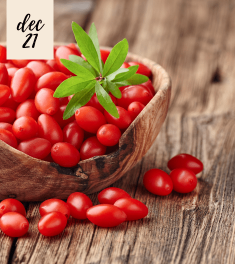 GOJI BERRY: 5 AMAZING BENEFITS TO YOUR SKIN YOU ALL SHOULD KNOW BY NOW!