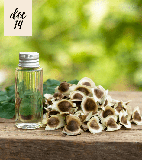 moringa oil in bottle with seeds