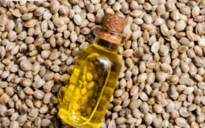 EVERYTHING YOU NEED TO KNOW ABOUT (CANNABIS SATIVA) HEMP SEED OIL
